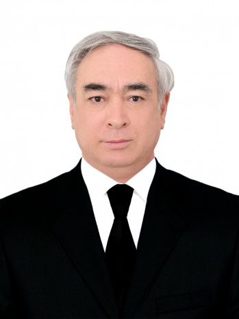 MEHDİYEV HİCRAN BAHADIR OĞLU