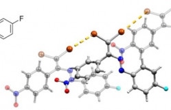 Əməkdaşlarımızın məqaləsi "Molecules" jurnalında