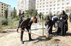 BDU-da Anım Günü münasibətilə ağacəkmə aksiyası