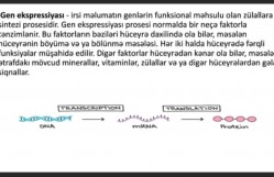 Əməliyyatlar tədqiqi və ehtimal nəzəriyyəsi kafedrasının magistrın çıxışı