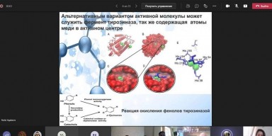 BDU-da “Qida məhsullarında polifenolların və antioksidant fəallığın təyini üçün biosensor” mövzusunda elmi seminar