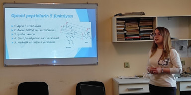 Maddə quruluşu kafedrasının elmi seminarı keçirilib