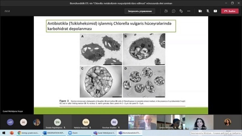 BDU-da “Chlorella: metabolizmin məqsədyönlü idarə edilməsi” mövzusunda elmi seminar