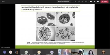BDU-da “Chlorella: metabolizmin məqsədyönlü idarə edilməsi” mövzusunda elmi seminar