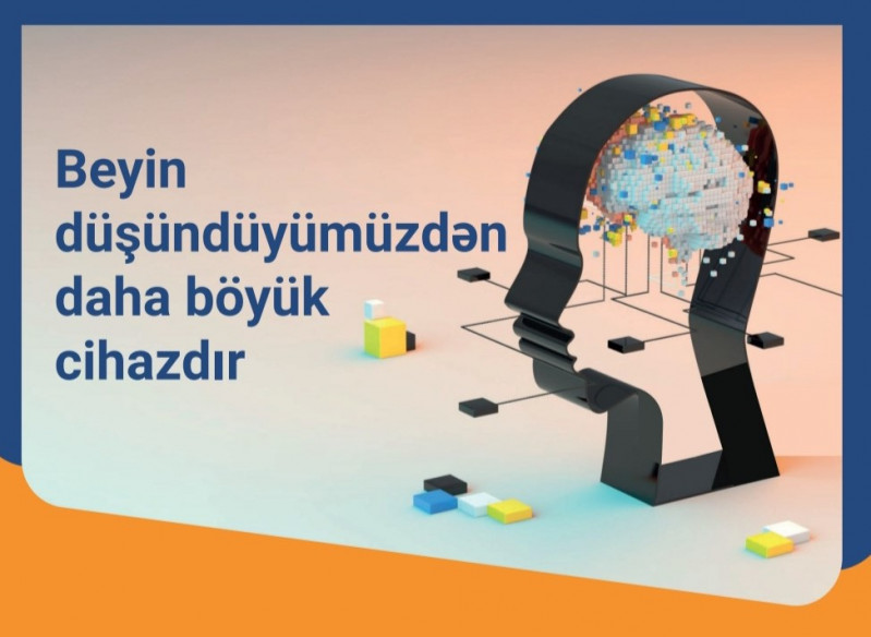 BDU-da neyroelm haqqında seminar keçiriləcək – ELAN