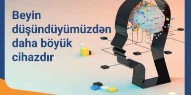 BDU-da neyroelm haqqında seminar keçiriləcək – ELAN