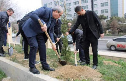 BDU-nun “Tələbə evi”nin qarşısında "Heydər Əliyev İli"nə həsr olunmuş ağacəkmə aksiyası