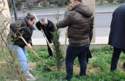 BDU-nun “Tələbə evi”nin qarşısında "Heydər Əliyev İli"nə həsr olunmuş ağacəkmə aksiyası