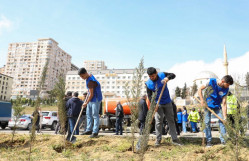 BDU-nun “Tələbə evi”nin ərazisində Ulu Öndər Heydər Əiiyevin 100 illik yubileyinə həsr olunmuş ağacəkmə aksiyası