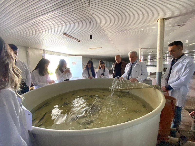 BDU tələbələri “Xıllı Balıq” və “Azerbaijan Fish Farm” balıqçılıq təsərrüfatlarında istehsalat təcrübəsində