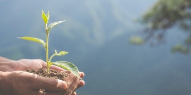 Ətraf mühitin qorunmasına həsr olunmuş tədbir