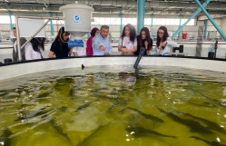 BDU tələbələri Azerbaijan Fish Farm MMC-də