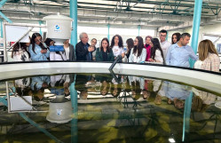 BDU tələbələri Azerbaijan Fish Farm MMC-də