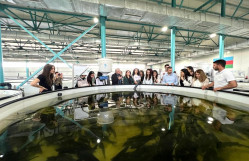 BDU tələbələri Azerbaijan Fish Farm MMC-də