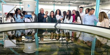 BDU tələbələri “Azerbaijan Fish Farm” MMC-də