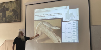 Çexiyanın Karlova Universitetinin professoru BDU-da elmi seminar keçib