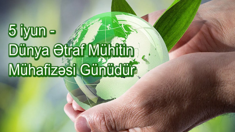 5 iyun Ümumdünya ətraf mühitin mühafizəsi günü