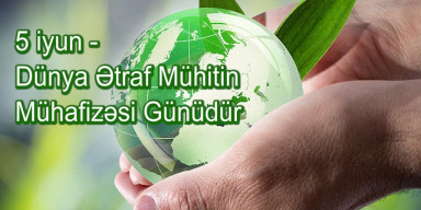 5 iyun Ümumdünya ətraf mühitin mühafizəsi günü