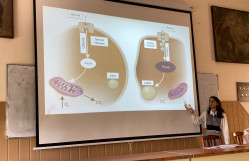 TEC-in növbəti seminarı keçirilib