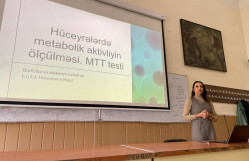 MTT test – hüceyrələrin metabolik aktivliyi mövzusunda seminar