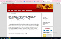 Çinin Universitetinin jurnalında məqalə dərc olunmuşdur