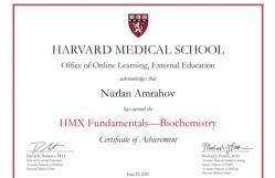 BDU-nun əməkdaşı Harvard Universitetinin təşkil etdiyi kurslarda iştirak edib