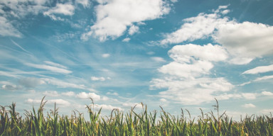 “Hidrometeorologiyanın müasir nailiyyətləri və inkişaf istiqamətləri” mövzusunda elmi-praktik konfrans