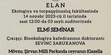 Elmi seminar