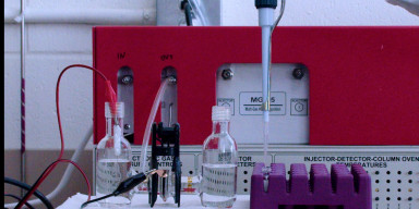 Biologiya fakültəsində prioritet elmi istiqamətdə imkanlar araşdırılır