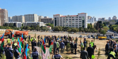 “Vətən Müharibəsi Şəhidlərinin Anım Günü” münasibətilə ağacəkmə aksiyası