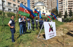 “Vətən Müharibəsi Şəhidlərinin Anım Günü” münasibətilə ağacəkmə aksiyası