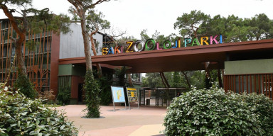 BDU tələbələrinin Bakı Zooloji Parkına ekskursiyası