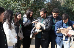 Bakı Zooloji Parkında istehsalat təcrübəsi