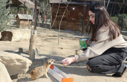 Bakı Zooloji Parkında istehsalat təcrübəsi