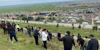 “Yaşıl dünya naminə həmrəylik ili”nə həsr olunmuş meşəbərpa  tədbiri həyata keçirilib