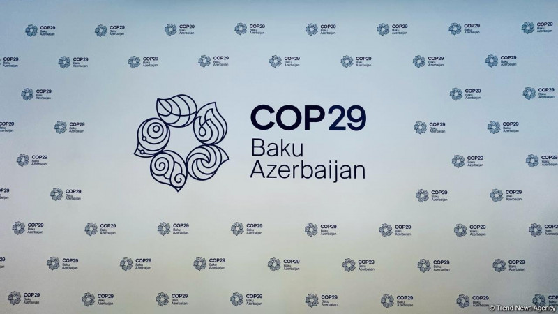 HÜQUQ FAKÜLTƏSİNİN TƏŞƏBBÜSÜ İLƏ COP29 BARƏDƏ İNFO SESSİYA KEÇİRİLMİŞDİR