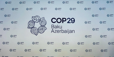 HÜQUQ FAKÜLTƏSİNİN TƏŞƏBBÜSÜ İLƏ COP29 BARƏDƏ İNFO SESSİYA KEÇİRİLMİŞDİR