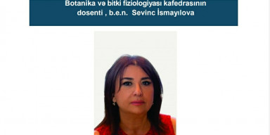 Sevinc İsmayılova  elmi seminarda məruzə ilə çıxış edəcək