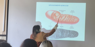 “Bitkilərdə termogenez və alternativ oksidaza” mövzusunda elmi seminar keçiriılib