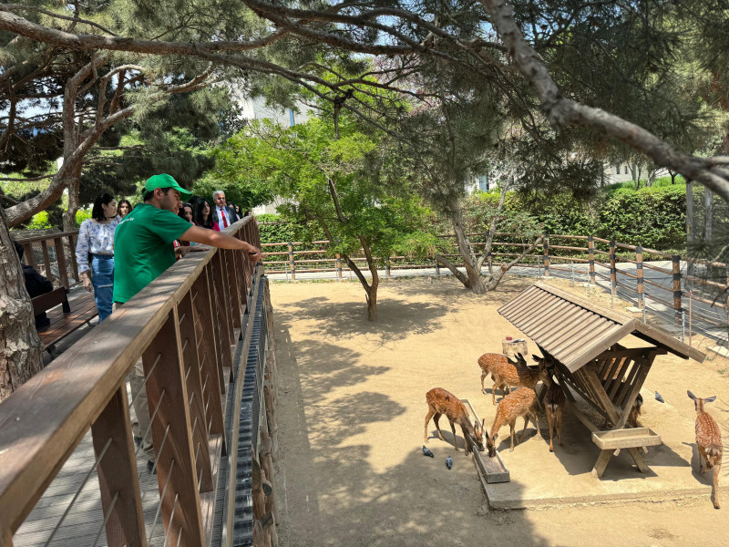 Beynəlxalq Biomüxtəliflik günü münasibəti ilə Bakı Zooloji Parkında tədbir