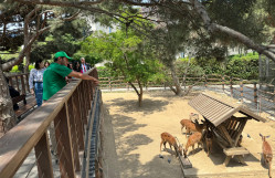 Beynəlxalq Biomüxtəliflik günü münasibəti ilə Bakı Zooloji Parkında tədbir