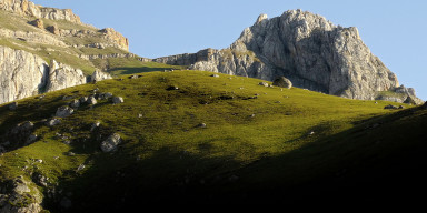 Biologiya fakültəsinin tələbələri  Şahdag Milli parkına ekskursiya ediblər