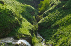 BİOLOGİYA FAKÜLTƏSİNİN TƏLƏBƏLƏRİ ŞAHDAĞ MİLLİ PARKINA EKSKURSİYA EDİBLƏR