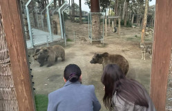 Bakı Zooloji Parkında mühazirə və məşğələ dərsləri keçirilib