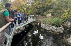 Bakı Zooloji Parkında mühazirə və məşğələ dərsləri keçirilib