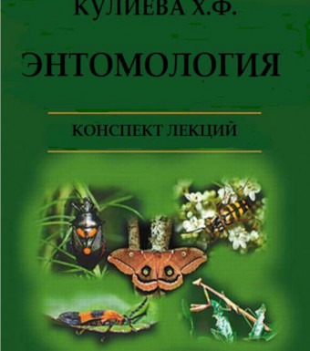 ЭНТОМОЛОГИЯ (конспект лекций)