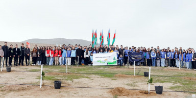 BDU könüllüləri Azərbaycan Gəncləri Gününə həsr olunmuş ağacəkmə aksiyasında