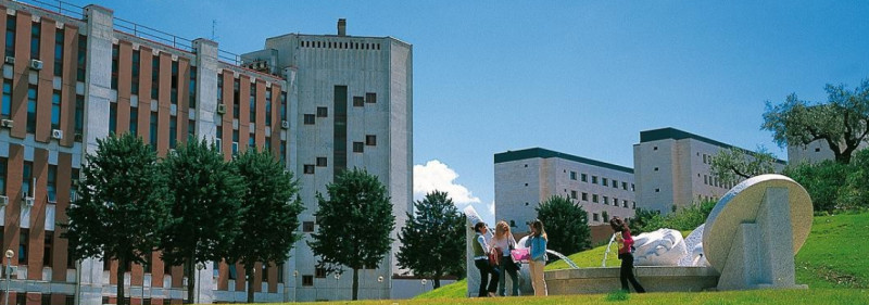 BDU ilə İtaliyanın G. N. Annunzio adına Çieti-Peskara Universiteti arasında əməkdaşlıq müzakirə edilib