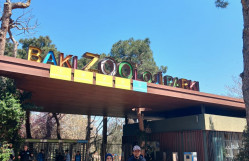 BDU-nun doktorantları olan indoneziyalı cütlük: “Bizi Universitetin beynəlxalq elmi nüfuzu cəlb etdi”