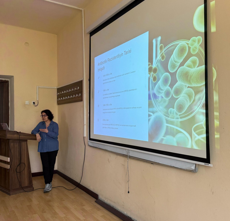 BDU-da qızılı stafilokok bakteriyasına qarşı müqavimət mexanizmlərinə dair araşdırmalar aparılır